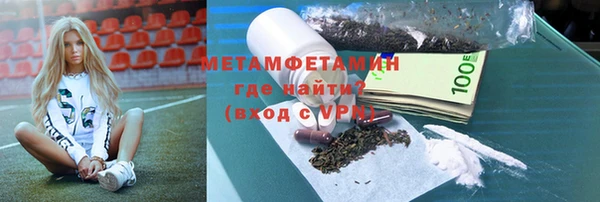 прущие грибы Ельня