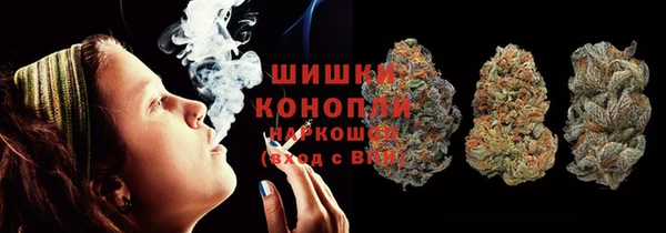 прущие грибы Ельня