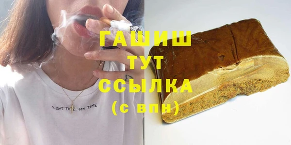 прущие грибы Ельня