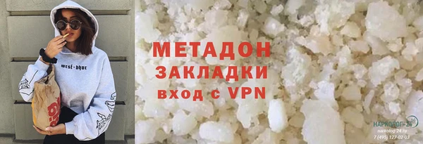 прущие грибы Ельня