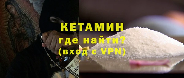 прущие грибы Ельня