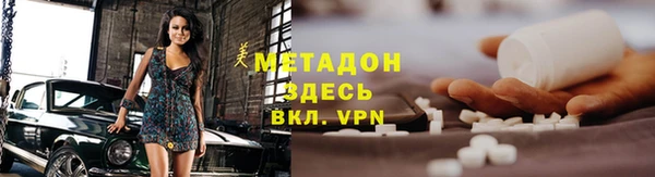 прущие грибы Ельня