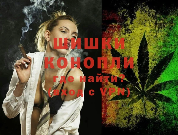 прущие грибы Ельня