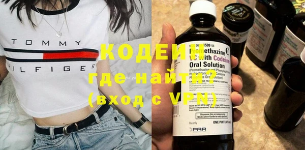 прущие грибы Ельня