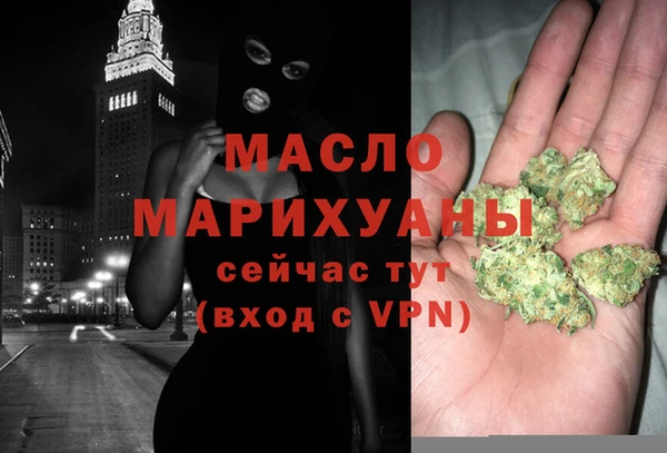прущие грибы Ельня
