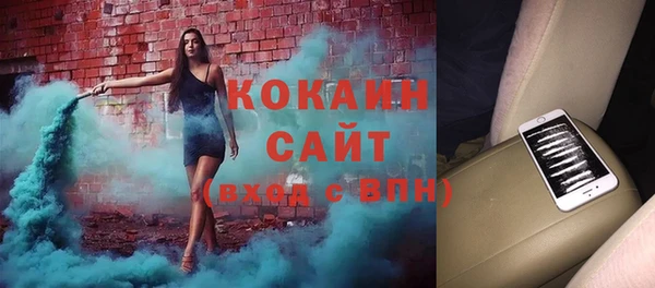 прущие грибы Ельня