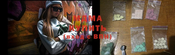 прущие грибы Ельня