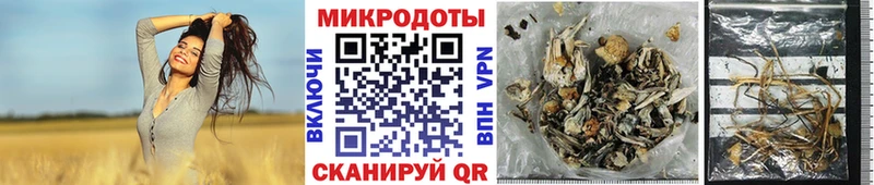 мега вход  Новоалтайск  Галлюциногенные грибы прущие грибы 